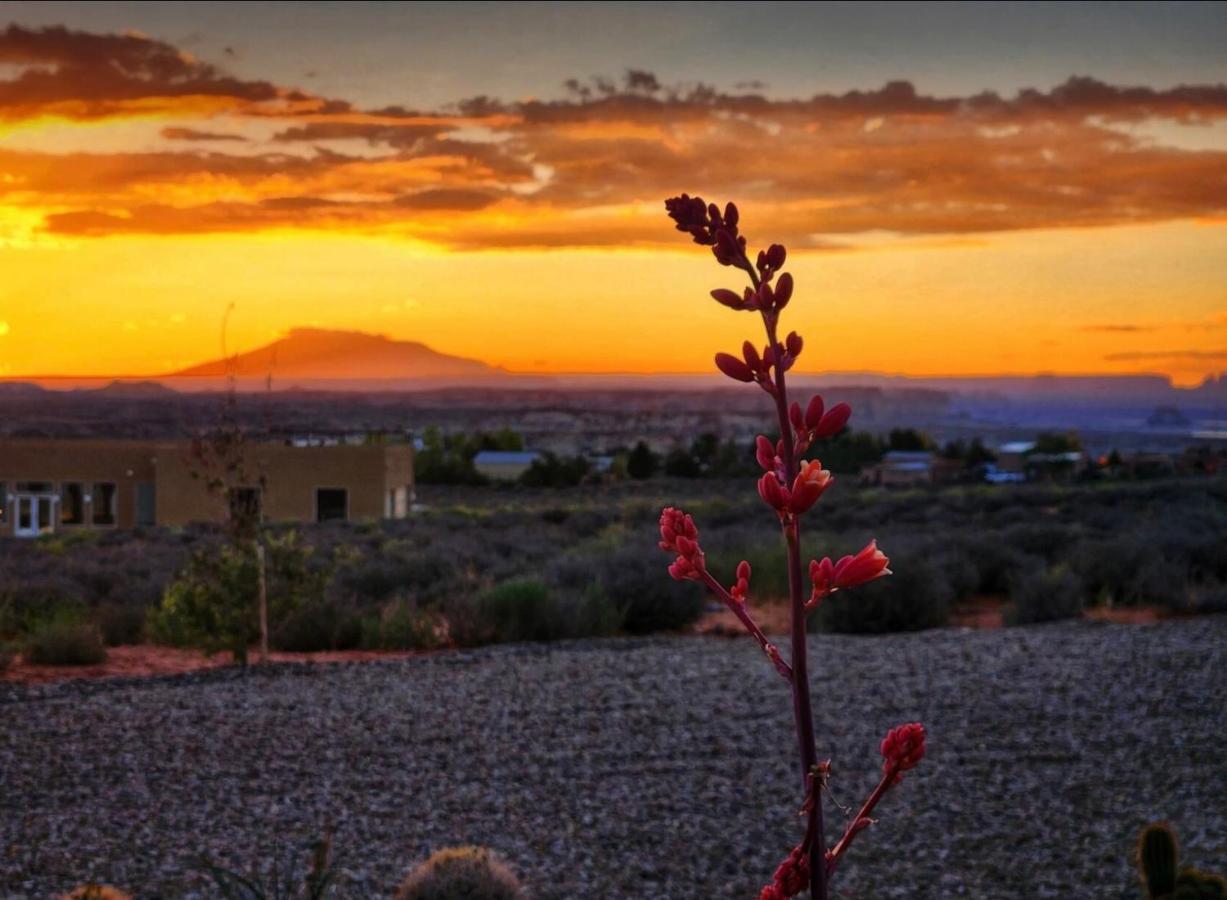 Canyon Oasis Suite With Grand Mesa View 比格沃特 外观 照片